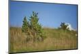 Premium Photographic Print