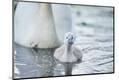 Premium Photographic Print