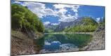 Photographic Print