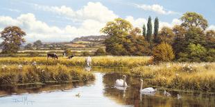 Tranquil Pasture-David Morgan-Framed Giclee Print