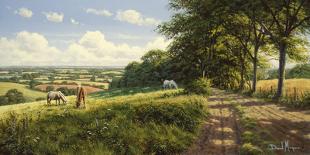 Tranquil Pasture-David Morgan-Giclee Print