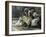 David Mourns His Son Ammon-James Jacques Joseph Tissot-Framed Giclee Print