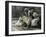 David Mourns His Son Ammon-James Jacques Joseph Tissot-Framed Giclee Print