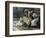 David Mourns His Son Ammon-James Jacques Joseph Tissot-Framed Giclee Print