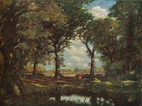 'A Woodland Pool', c1905-David Muirhead-Framed Giclee Print