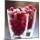Premium Photographic Print