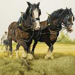 Farm Horses-David Nockels-Giclee Print