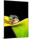 Photographic Print