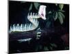 Photographic Print