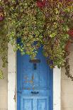 Blue Doorway with Grape Vines (Vitis) Puyloubier, Var, Provence, France, October 2012-David Noton-Photographic Print