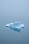 Iceberg Floats on Erik's Fjord in Southern Greenland-David Noyes-Photographic Print