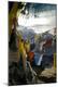 Premium Photographic Print