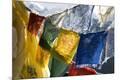 Premium Photographic Print