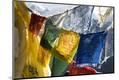 Premium Photographic Print