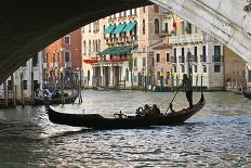 Tourist in a Gondola as They Pass under the Rialto Bridge, Venice, Italy-David Noyes-Photographic Print