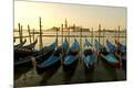 Premium Photographic Print