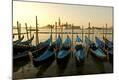 Photographic Print