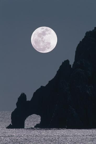 Photographic Print, , large