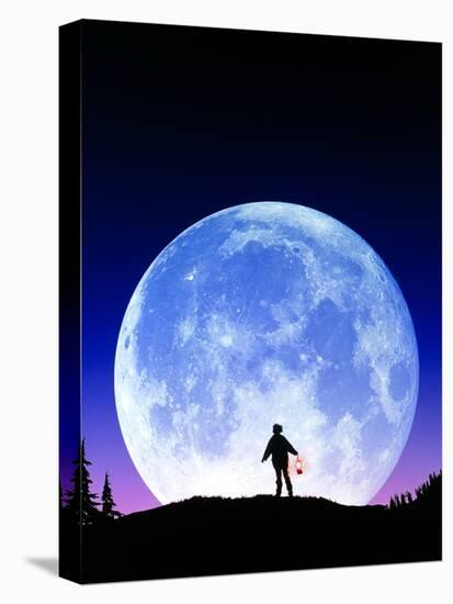 Stretched Canvas Print, , large