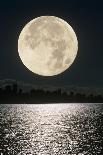 Aeroplane Silhouetted Against a Full Moon-David Nunuk-Photographic Print