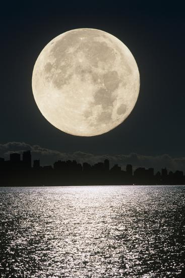 Photographic Print, , large