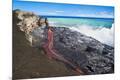 Premium Photographic Print
