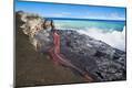 Photographic Print