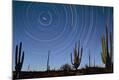 Photographic Print