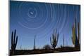 Photographic Print