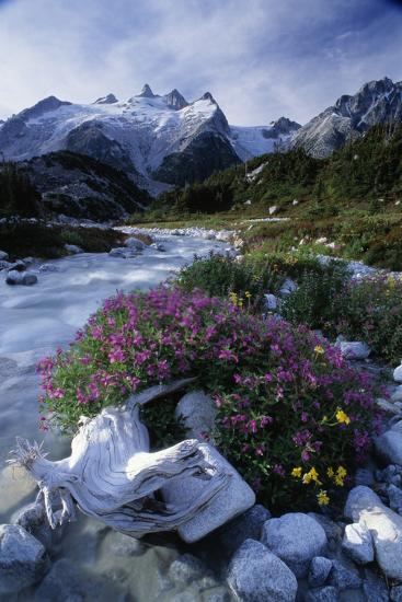 Premium Photographic Print, , large