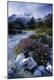 Premium Photographic Print