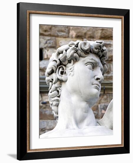 David of Michelangelo, Piazza Della Signoria, Florence, UNESCO World Heritage Site, Tuscany, Italy-Nico Tondini-Framed Photographic Print