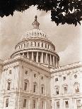 Branch Before U.S. Capitol-David Papazian-Photographic Print