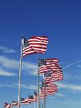 Flags at Washington Monument-David Papazian-Photographic Print