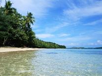 Tropical Coastline of Turtle Island-David Papazian-Photographic Print