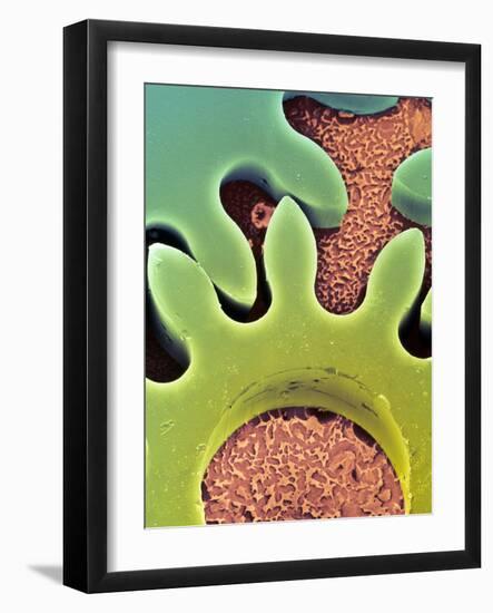 Photographic Print, , large