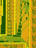 Circuit Board From a Mainframe Computer-David Parker-Photographic Print