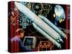 Stretched Canvas Print