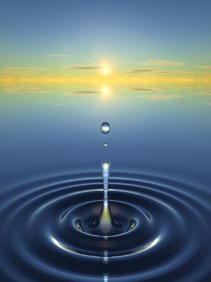 Photographic Print, , large