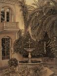 View to the Courtyard-David Parks-Art Print