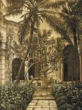 View to the Courtyard-David Parks-Stretched Canvas