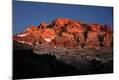 Photographic Print