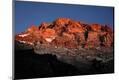 Photographic Print