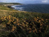 Looking across Croyde Bay from Baggy Point, North Devon, England, United Kingdom, Europe-David Pickford-Framed Photographic Print