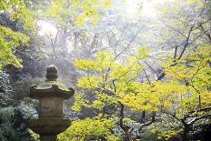 The Sankeien Garden, Yokohama, Tokyo, Japan, Asia-David Pickford-Photographic Print
