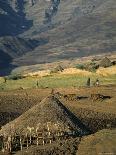 Debirichwa Village in Early Morning, Simien Mountains National Park, Ethiopia-David Poole-Framed Premier Image Canvas