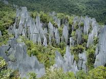 Limestone Pinnacles on Mount Api, Gunung Mulu National Park, Sarawak, Island of Borneo, Malaysia-David Poole-Photographic Print