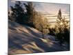 Premium Photographic Print