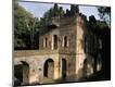 Photographic Print