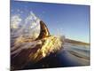 Photographic Print